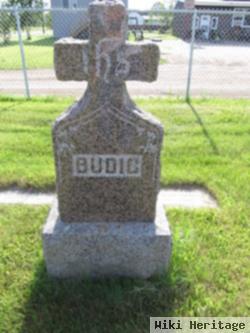 Mary M Schmidt Budig