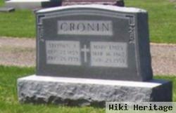 Stephen A. Cronin