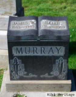 James W Murray