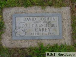 David Joshua Carey