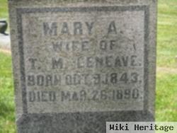 Mary Ann Graves Leneave