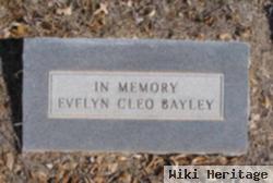 Evelyn Cleo Bayley