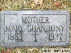 Mary A. Nehring Shandony