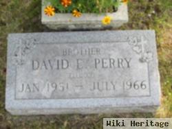 David E Perry