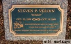 Steven P Verdin