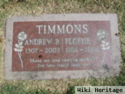 Andrew Berney Timmons