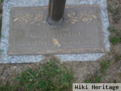 Paul J Llewellyn