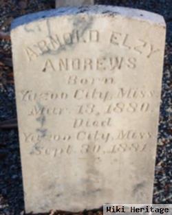 Arnold Elzy Andrews