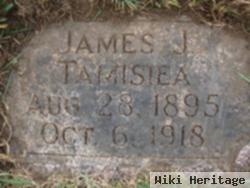 James J. Tamisiea