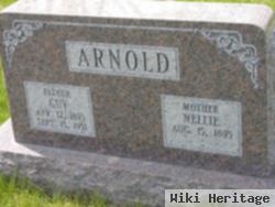 Nellie Arnold