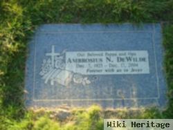 Ambrosius N Dewilde