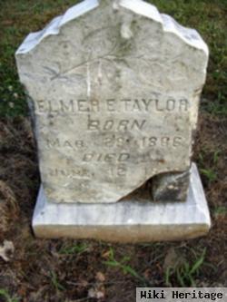 Elmer E Taylor