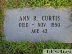 Ann R Curtis