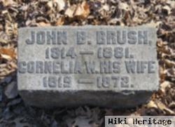 Cornelia Brush