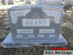 Alva Jesse Brant