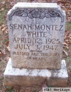 Senah Montez White