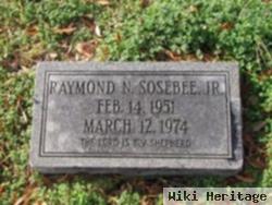 Raymond N Sosebee, Jr