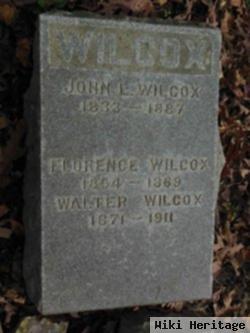 Walter Wilcox