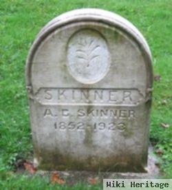 A. B. Skinner