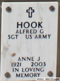 Anne J Hook