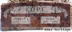 Herman K Kopf