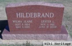 Lester L. Hildebrand