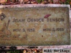 Joan Genice Benson