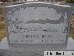 Orphus Bean