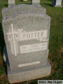 Carl Potter