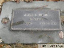 Alice E Bohn