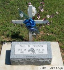 Paul M. Wilson