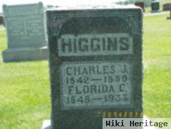 Charles A Higgins