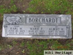 Karl Michael Borchardt