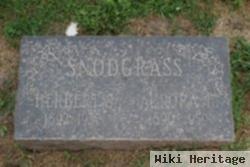 Herbert Sidney Snodgrass