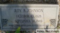 Roy B. Johnson