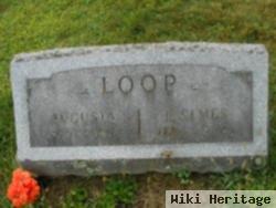 Horace Elmer Loop