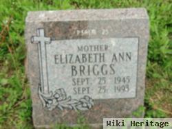 Elizabeth Ann Briggs