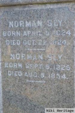 Norman Sly