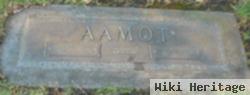 Hans G Aamot