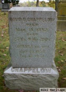 David U. Chappelow