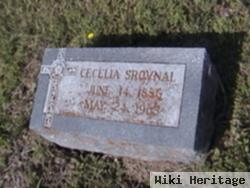 Cecelia Srovnal