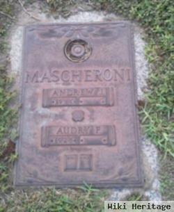 Andrew J Mascheroni