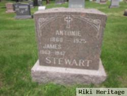 Antonie Vanasek Stewart