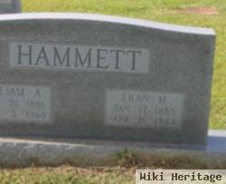 Eran M. Hammett