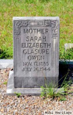 Sarah Elizabeth "sally" Glasure Owen