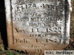 Eliza Jane "muetzenberg" Mitzimberg