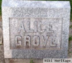 Alice Grove