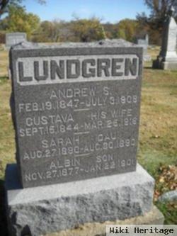 Andrew Severin Lundgren