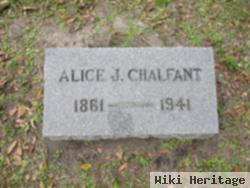 Alice J Chalfant