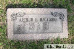 Arthur H Hagedorn